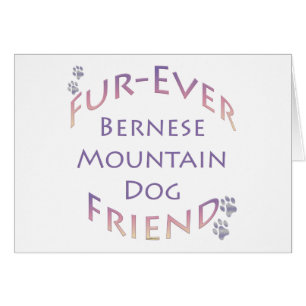 Bernese Mountain Dog Furever