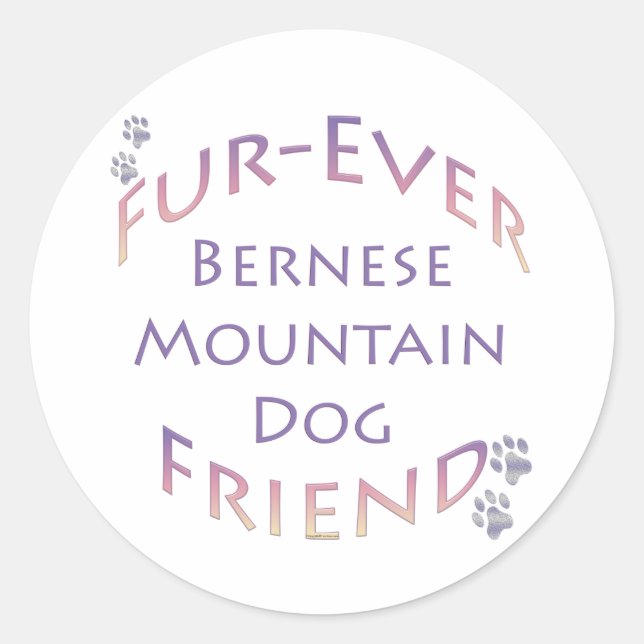 Bernese Mountain Dog Furever Classic Round Sticker (Front)