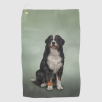 Bernese Mountain Dog