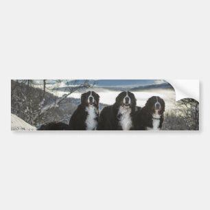 bernese mountain dog group bumper sticker