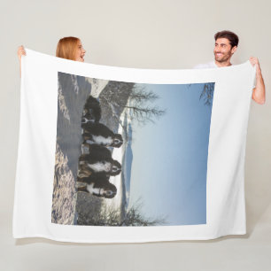 bernese mountain dog group fleece blanket