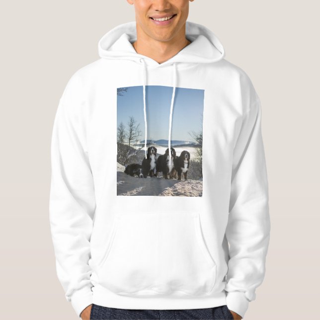 bernese mountain dog group   hoodie (Front)