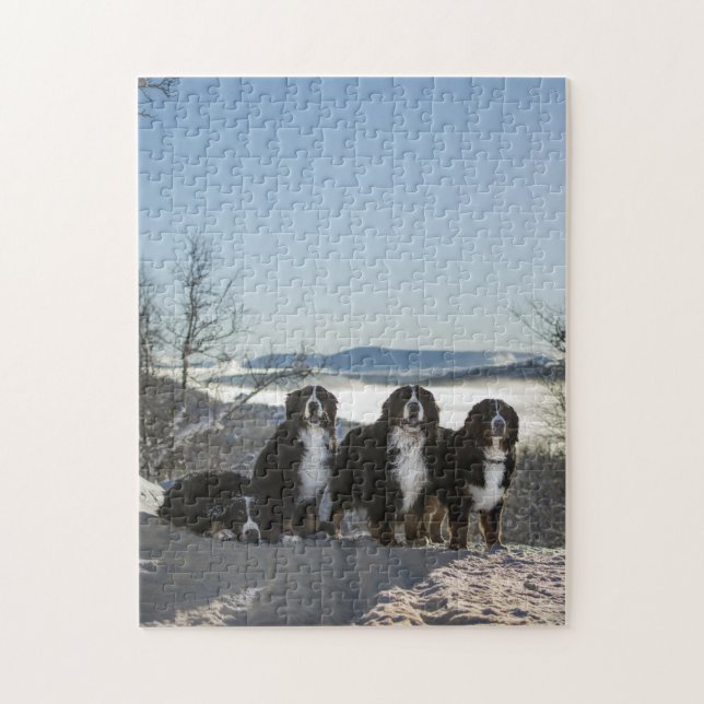 bernese mountain dog group   jigsaw puzzle (Vertical)