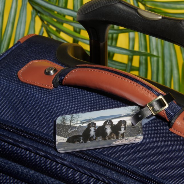 bernese mountain dog group   luggage tag (Front Insitu 3)