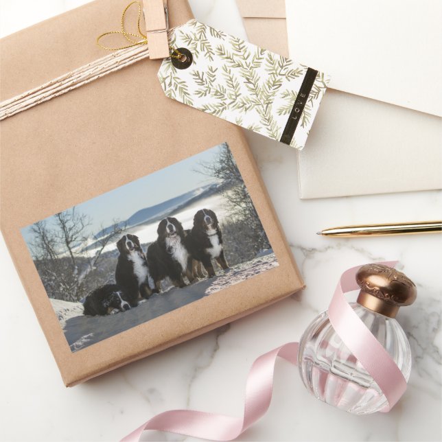 bernese mountain dog group   rectangular sticker (Gifting)