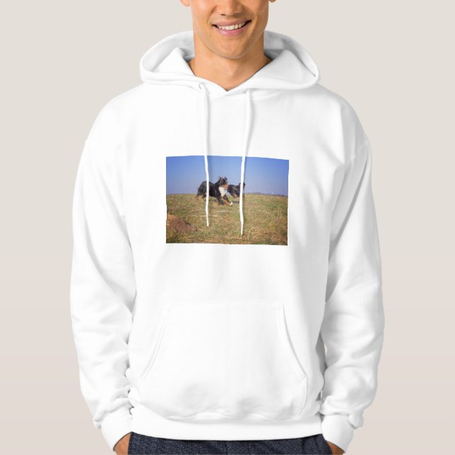 bernese mountain dog group second hoodie (Front)