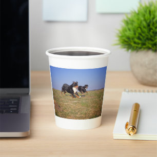 bernese mountain dog group second paper cups