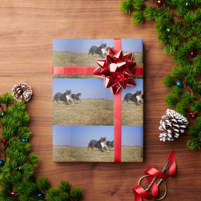 bernese mountain dog group second wrapping paper (Holiday Gift)