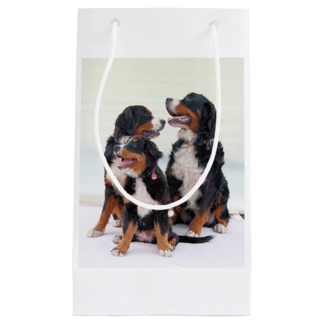 bernese mountain dog group small gift bag (Front)