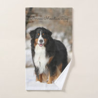 Bernese Mountain Dog