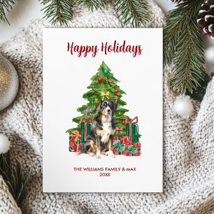 Bernese Mountain Dog Holiday Card