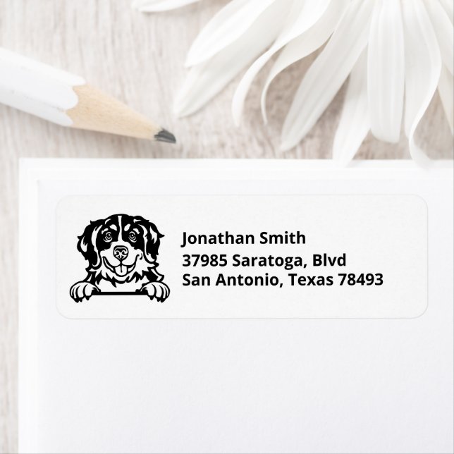 BERNESE MOUNTAIN DOG | Image on Return Address Label (Insitu)