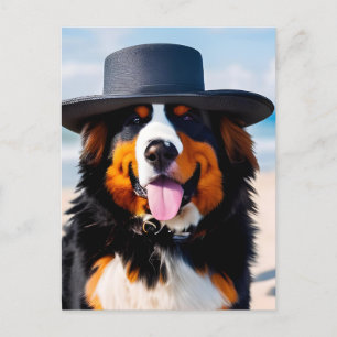 Bernese Mountain Dog in a Hat Postcard