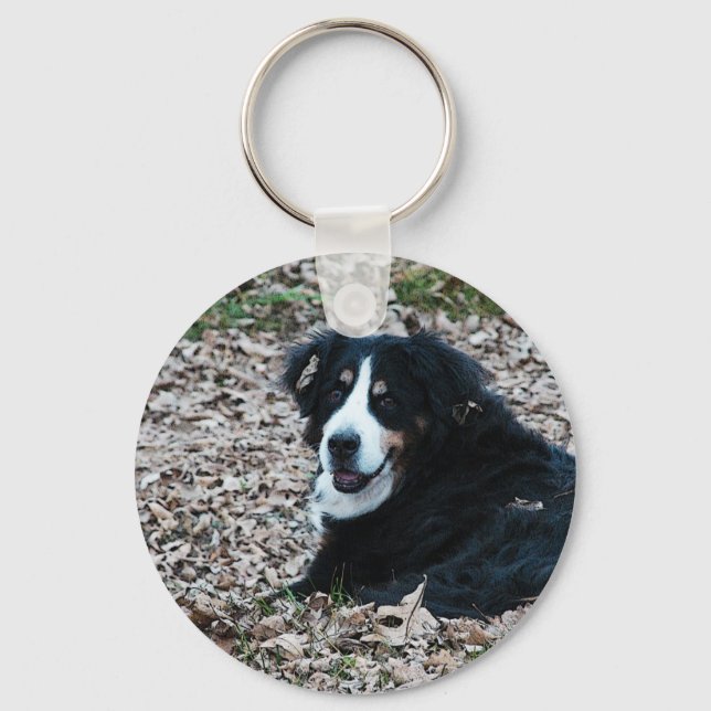 Bernese Mountain Dog in Autumn Key Ring (Front)