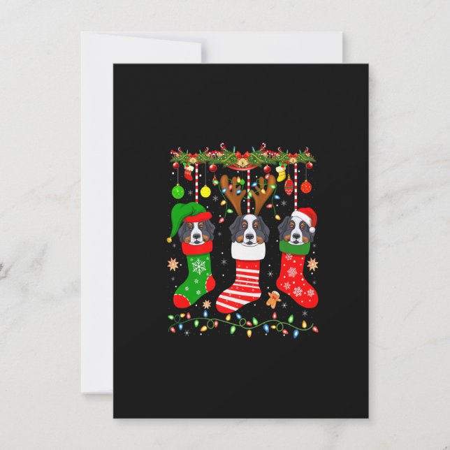 Bernese Mountain Dog In Christmas Socks Lights Xma Invitation (Front)