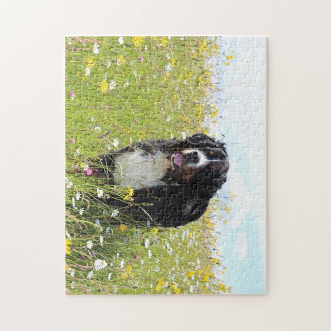 bernese mountain dog in field jigsaw puzzle (Vertical)