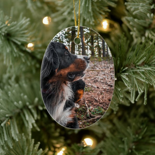 bernese mountain dog in forest ceramic ornament (Tree)