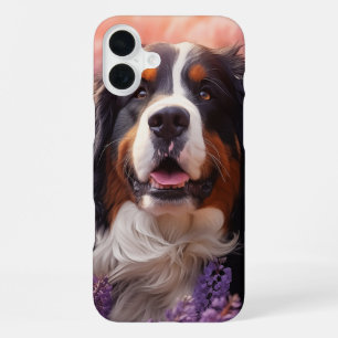 Bernese Mountain Dog in lavenders iPhone 16 Plus Case