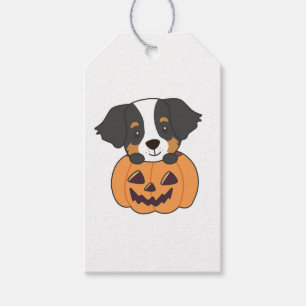 Bernese Mountain Dog In Pumpkin Dogs Happy Gift Ta Tags
