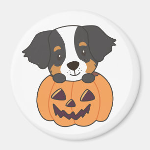 Bernese Mountain Dog In Pumpkin Dogs Happy Magnet