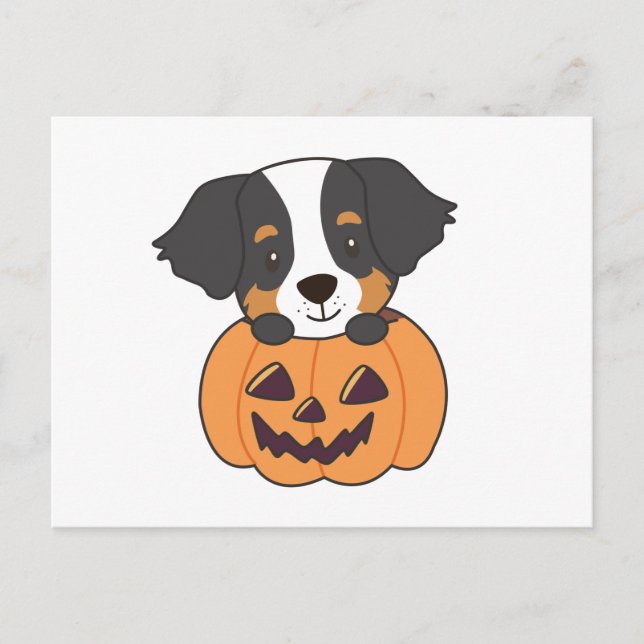 Bernese Mountain Dog In Pumpkin Dogs Happy Postcard (Front)