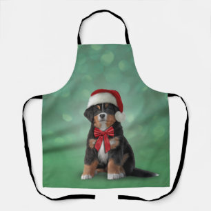 Bernese Mountain Dog in red hat of Santa Apron