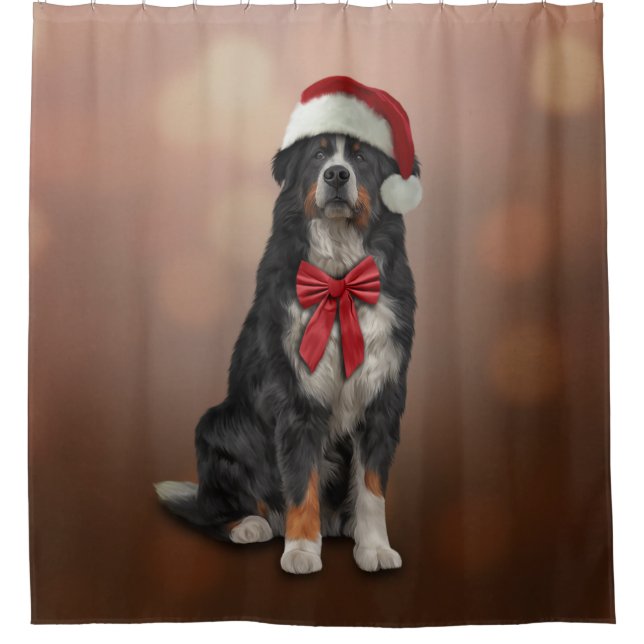 Bernese Mountain Dog in red hat of Santa Claus Shower Curtain (Front)