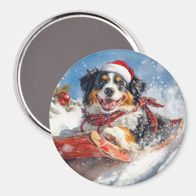 Bernese Mountain Dog in Sledge Christmas Magnet (Front/Back)