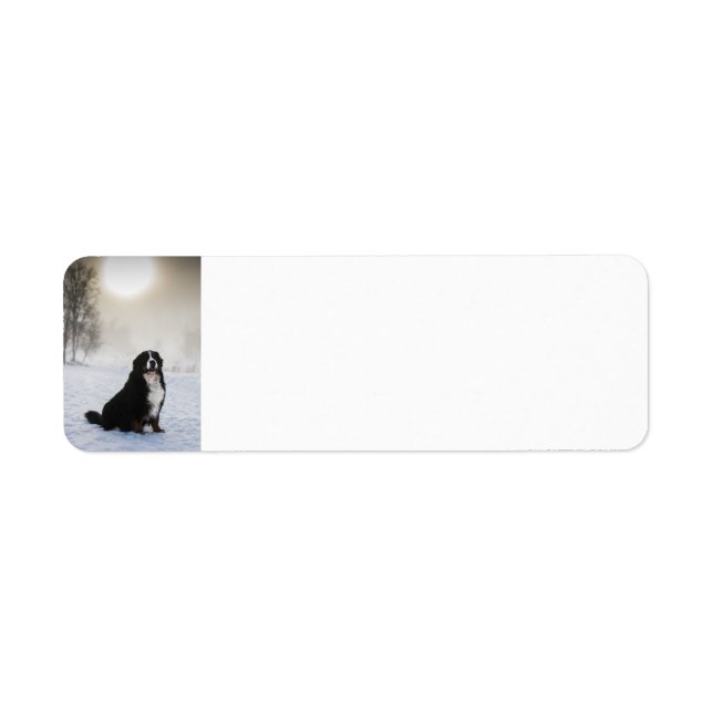 bernese mountain dog in snow return address label (Front)