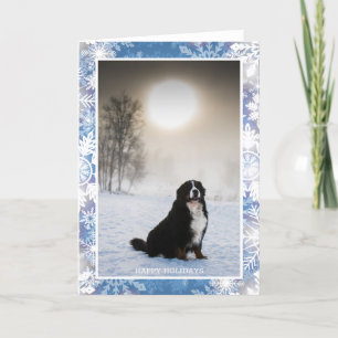 Bernese Mountain Dog In Snow Winter View Photo Holiday Card