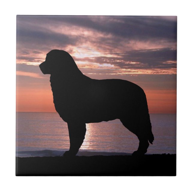 Bernese Mountain Dog Indigo Sunset Ceramic Tile (Front)