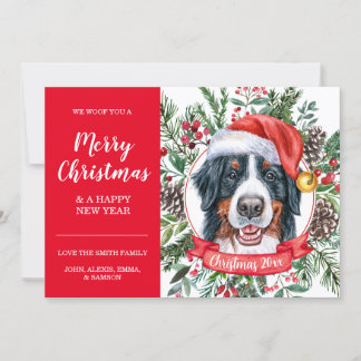 Bernese Mountain Dog Inexpensive Christmas Card