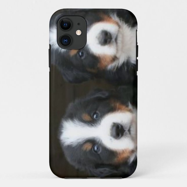 Bernese mountain dog iPhone 5 Case-Mate ID™ Case (Back)