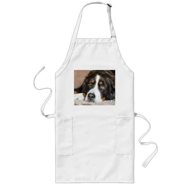 bernese mountain dog laying long apron (Front)
