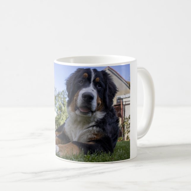 bernese mountain dog laying second coffee mug (Front Right)