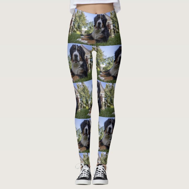 bernese mountain dog laying second leggings (Front)