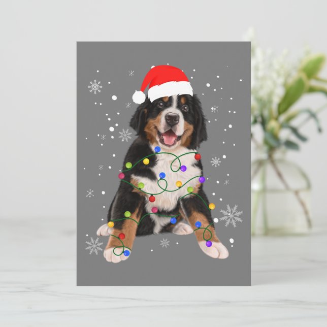 Bernese Mountain Dog Lights Christmas Matching Fam Holiday Card (Standing Front)
