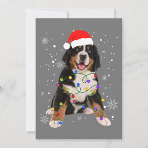 Bernese Mountain Dog Lights Christmas Matching Fam Invitation