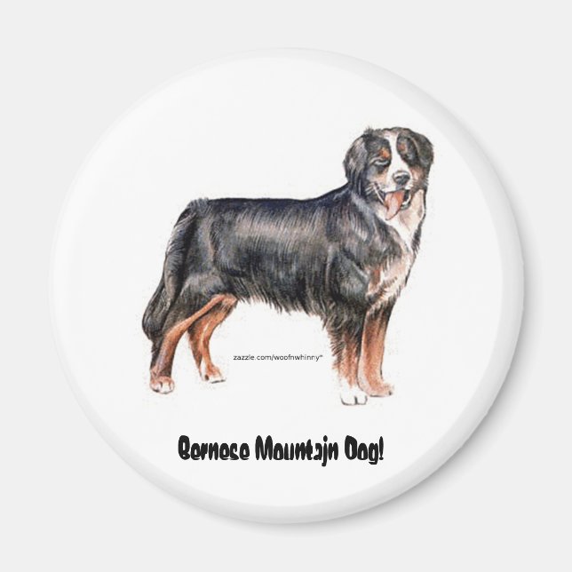 Bernese Mountain Dog Magnet (Front)