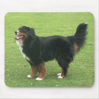 Bernese Mountain Dog Mouse Pad