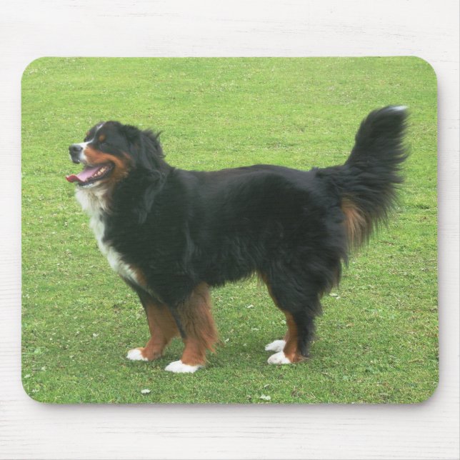 Bernese Mountain Dog Mouse Pad (Front)