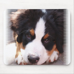 Bernese Mountain Dog Mouse Pad