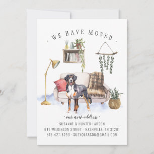 Bernese Mountain Dog   Moving Announcement