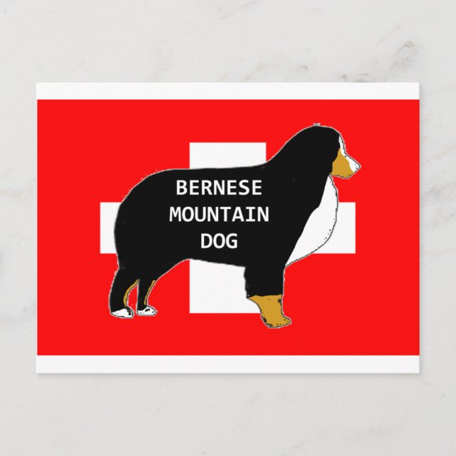 bernese mountain dog name silhouette on flag tan.p postcard (Front)