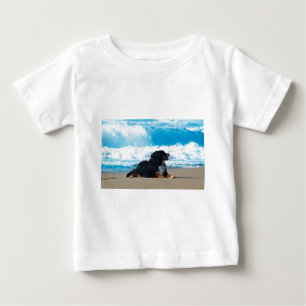 Bernese Mountain Dog on Beach Baby T-Shirt