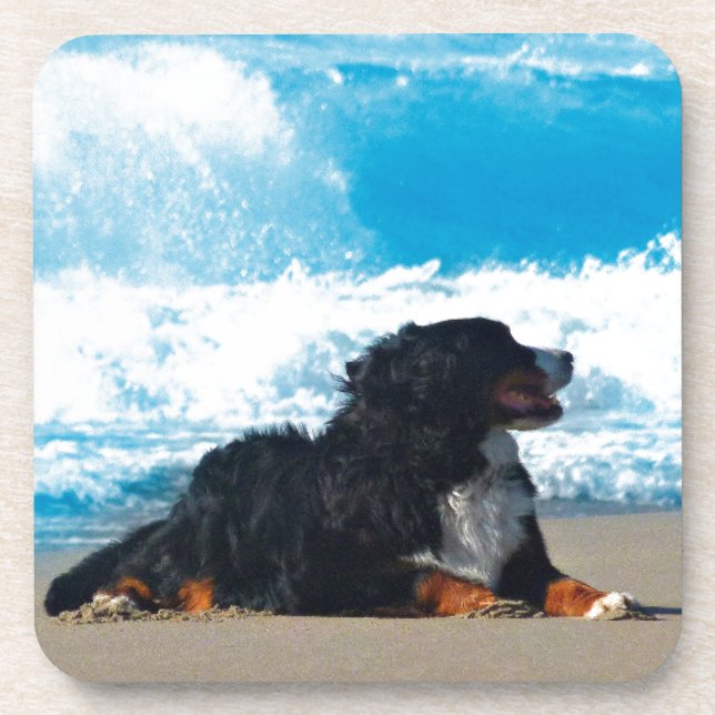Bernese Mountain Dog on Beach Coaster (Front)