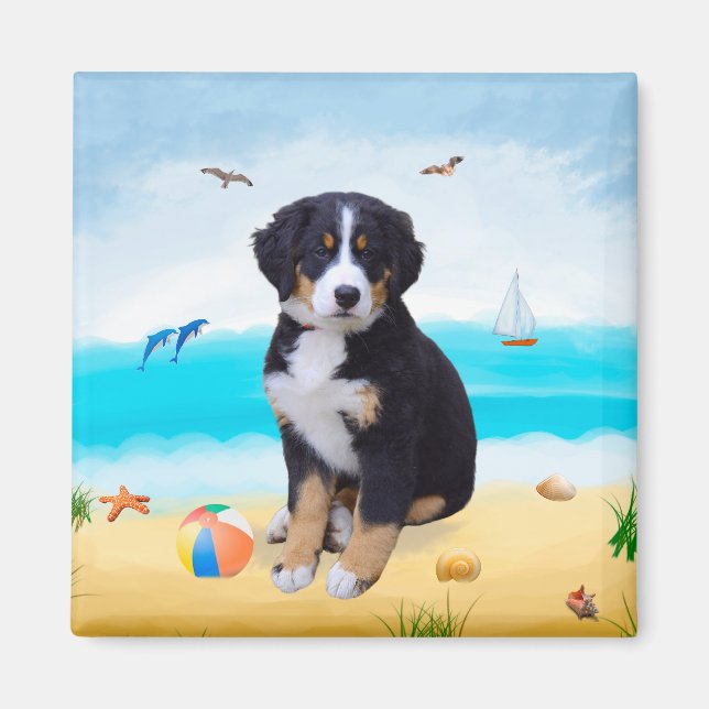 Bernese Mountain Dog on Beach Magnet (Front)