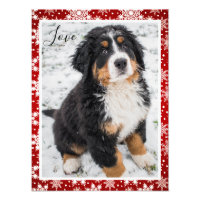 Bernese mountain dog On Red and White Snowflake