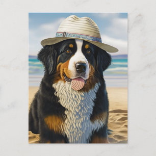 Bernese Mountain Dog on the Beach Postcard