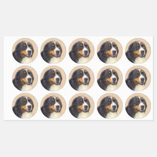 Bernese Mountain Dog Painting - Original Dog Art